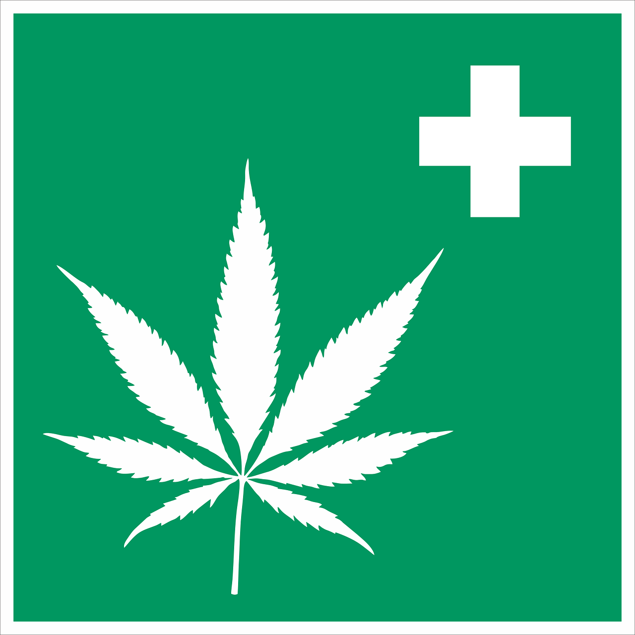 cannabis, hemp, intoxicant-2273795.jpg